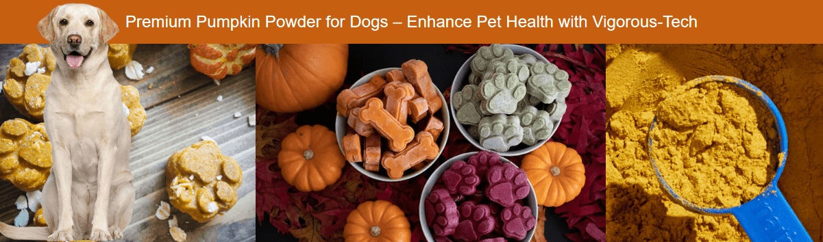 Premium Pumpkin Powder for Dogs